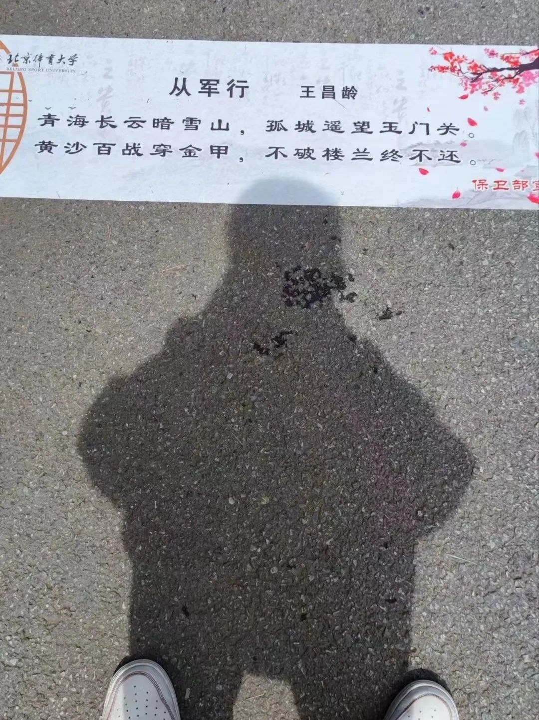图片18.png
